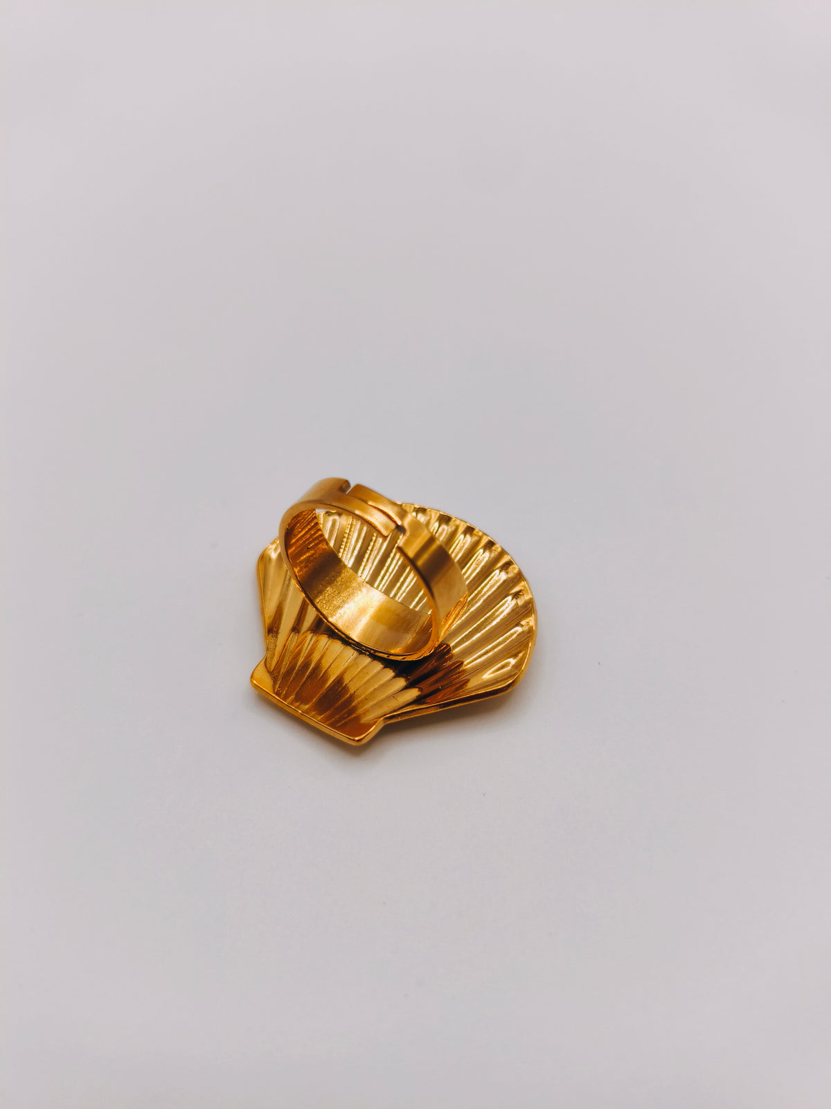 Bague Saint Jacques