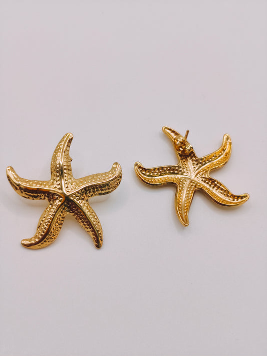 Boucles Etoile de Mer