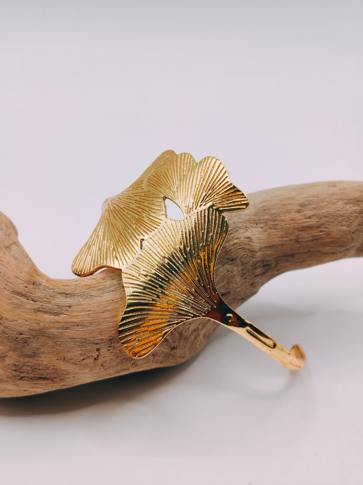 Jonc GINKO