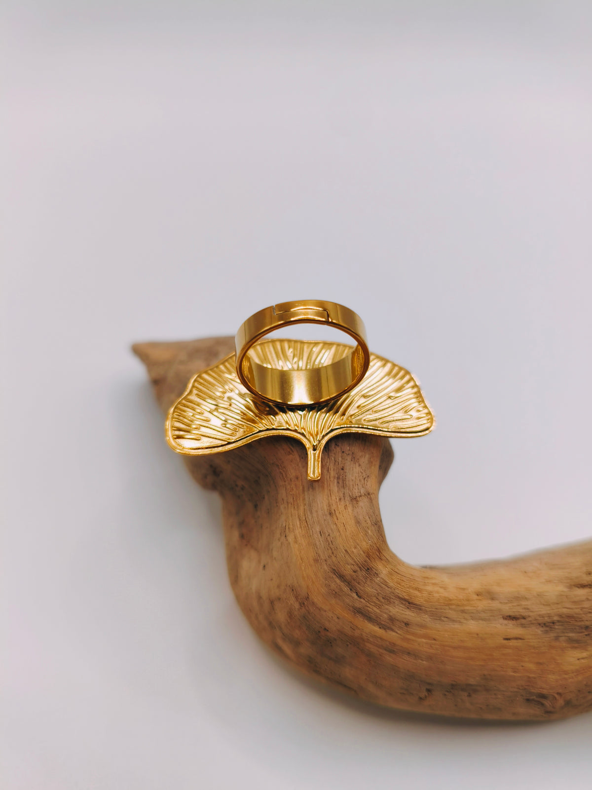 Bague Ginko