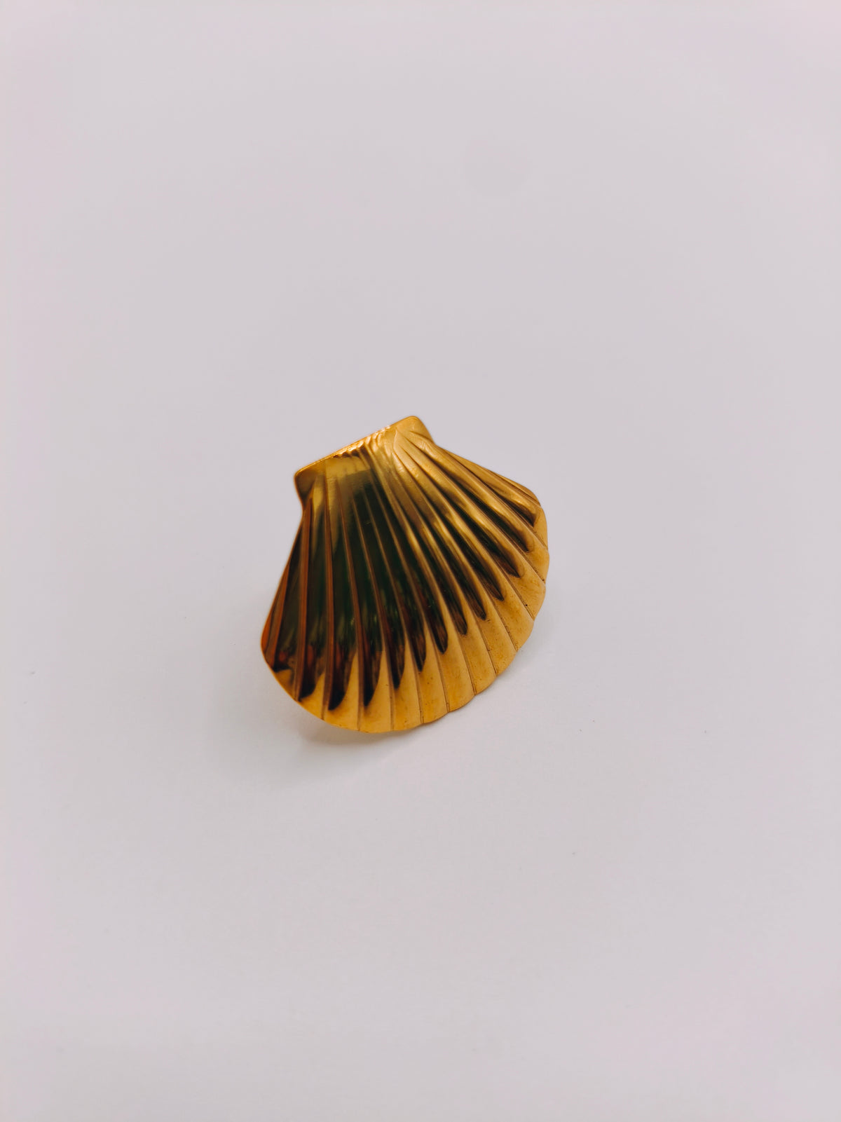 Bague Saint Jacques